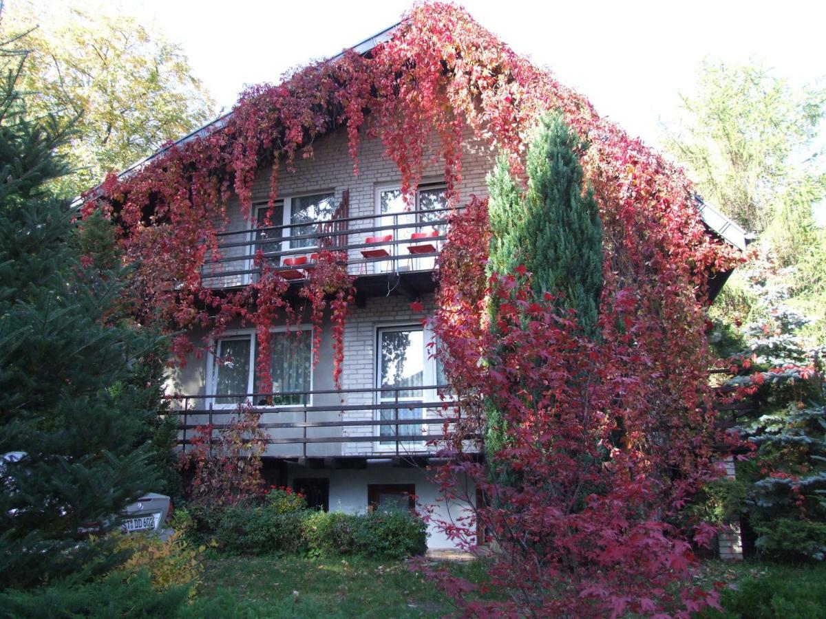 Pokoje I Apartamenty Przy Sosnowej Poddąbie Exterior photo